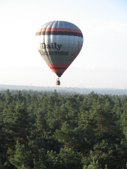 crusader_over_forest