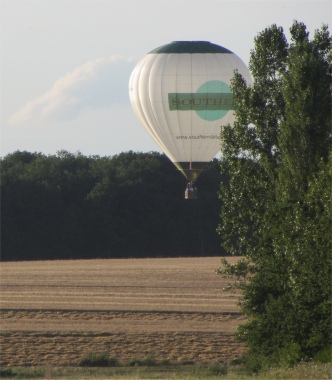 elmer_skirting_woods