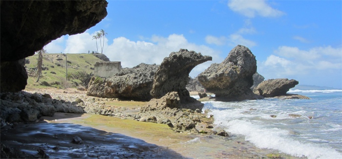 coral_rock_formations