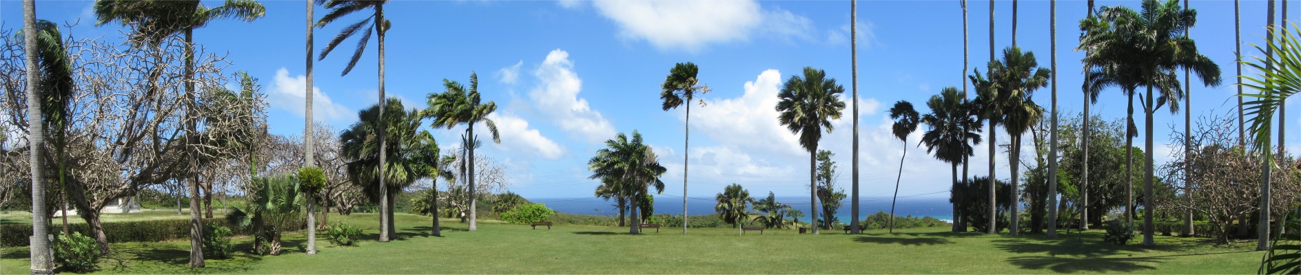 east_of_codrington_theological_college