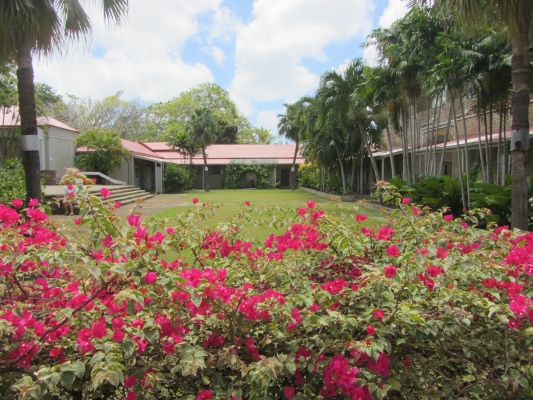 flowers_in_barbados_museum_courtyard