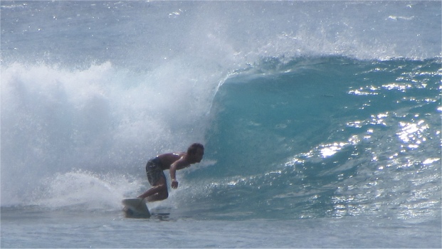 reeds_bay_surfer