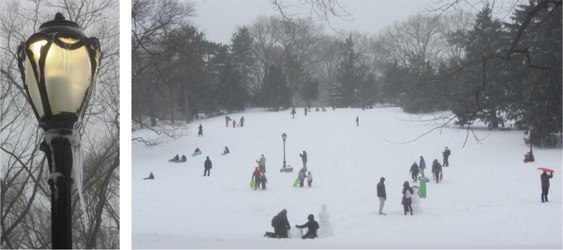 sledging_in_central_park