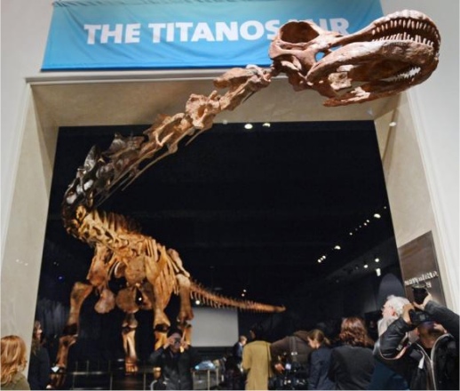 titanosaur