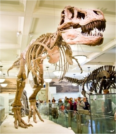 tyrannosaurus_rex