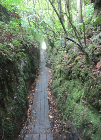 white_creek_faultline