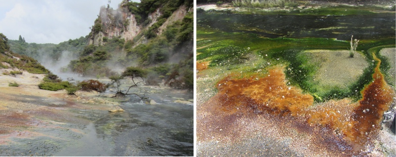 hot_water_creek_and_springs