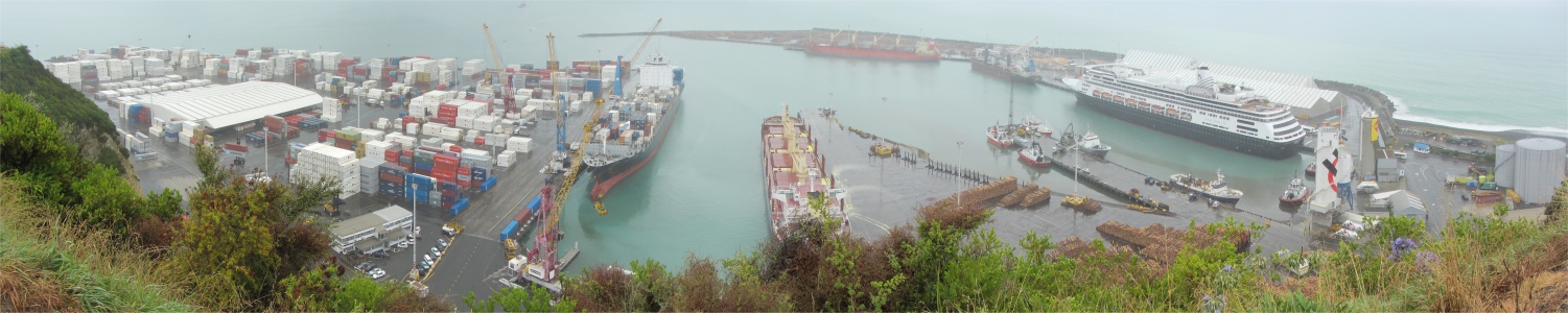 napier_port