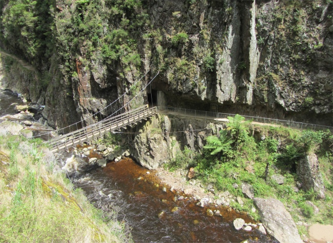 suspension_bridge_over_the_waitawheta_river
