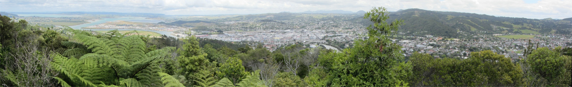 view_from_mount_parihaka
