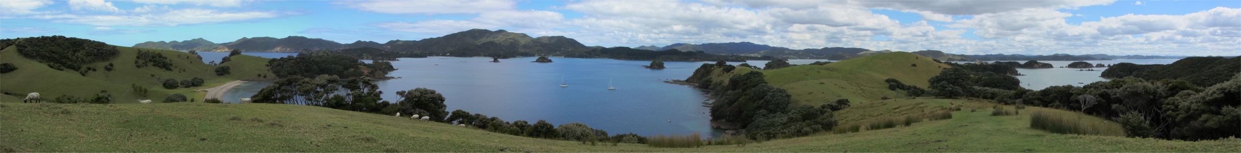 view_from_urupukapuka_island