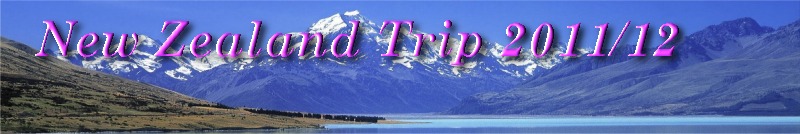 new_zealand_banner