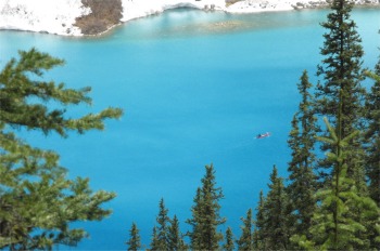lake_louise_from_high_trail