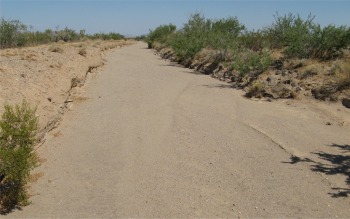 dried_up_river_bed