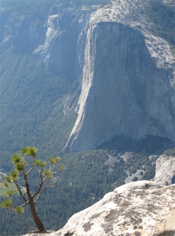 el_capitan_from_taft_point
