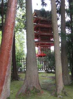 pagoda_through_the_trees