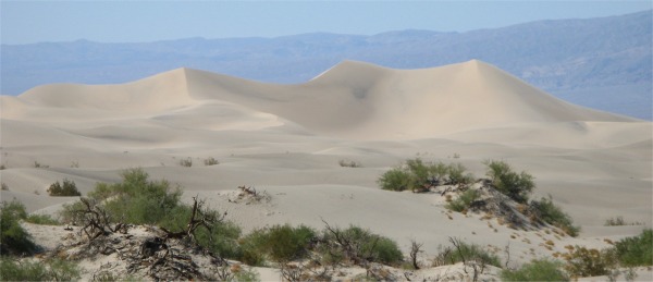mesquite_flat_sand_dunes