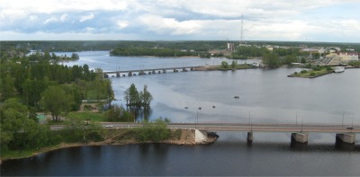 vast_forest_interior