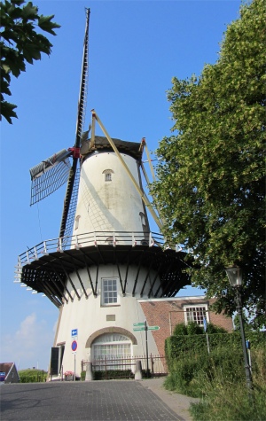 orangemolen