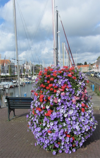 brouwershaven_flowers
