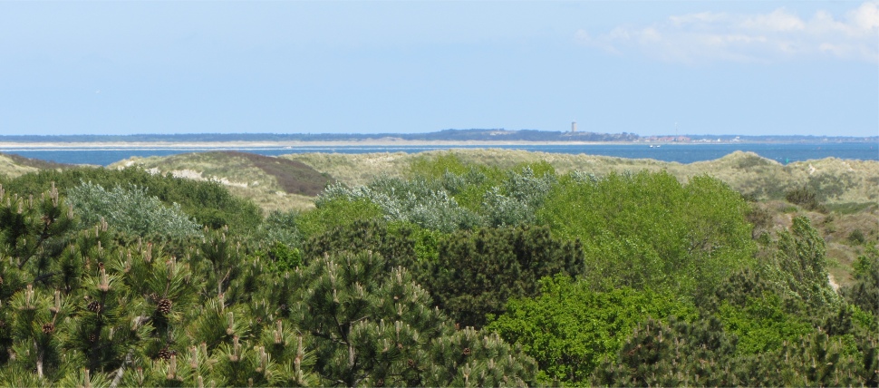 terschelling_from_vlieland