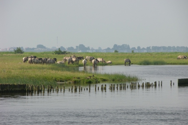 lauwersmeer