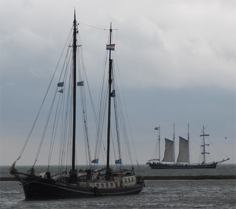 hoorn_tall_ships
