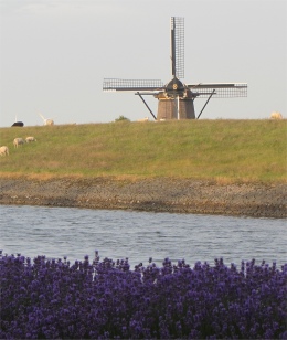 nijlannermolen