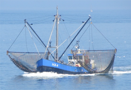 terschelling_trawler