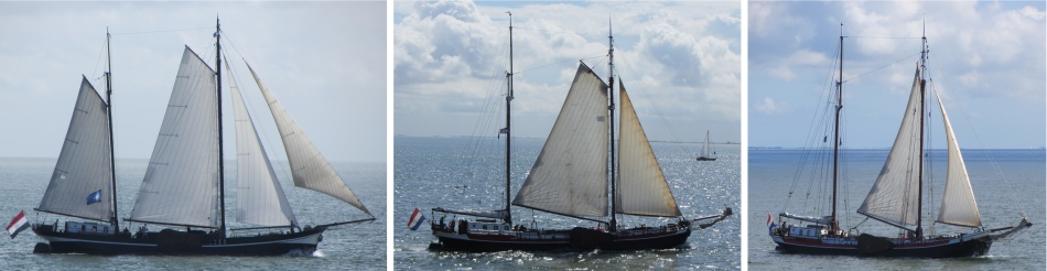 tall_ships_on_waddenzee
