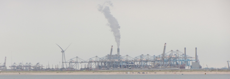 maasvlakte
