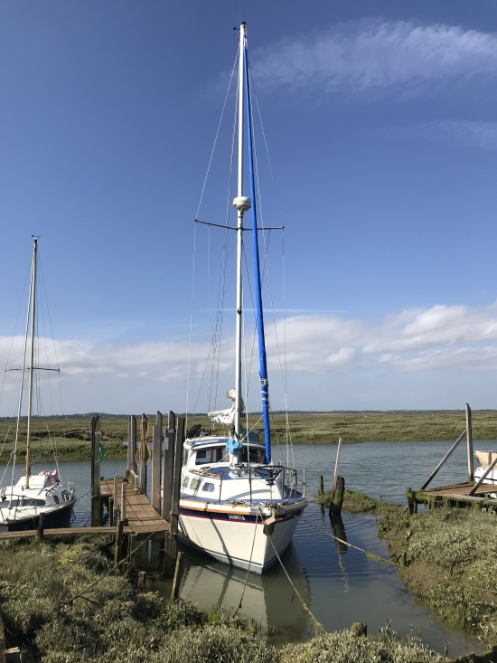 duonita_standing_proud