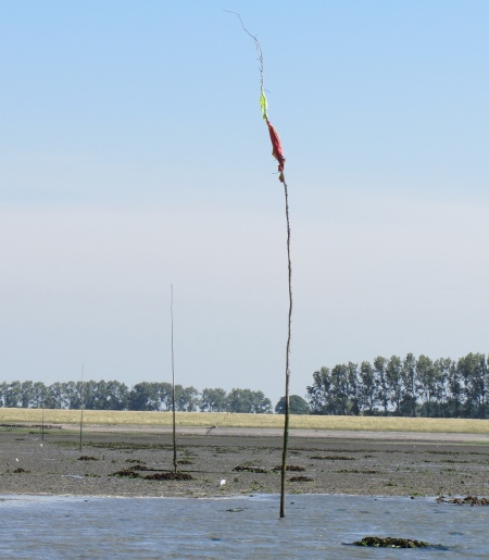 mudbanks_on_oosterschelde