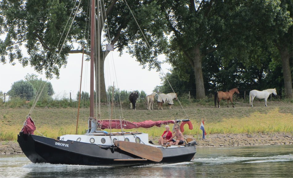 slower_pace_of_life_on_the_spui