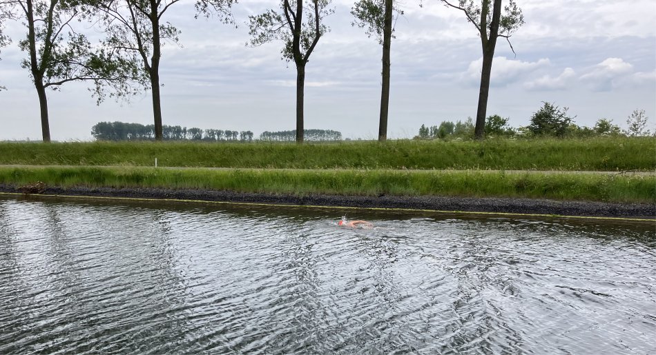 canal_swimmer